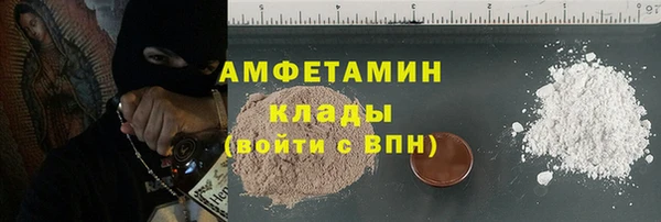 прущие грибы Куйбышев