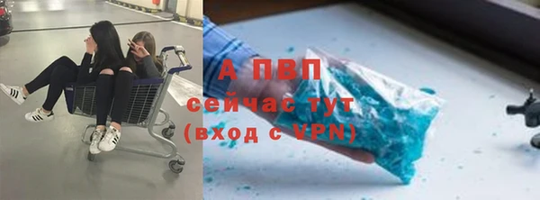 прущие грибы Куйбышев