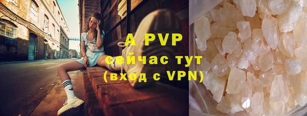 прущие грибы Куйбышев