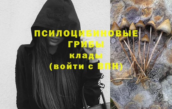 мяу мяу мука Кулебаки