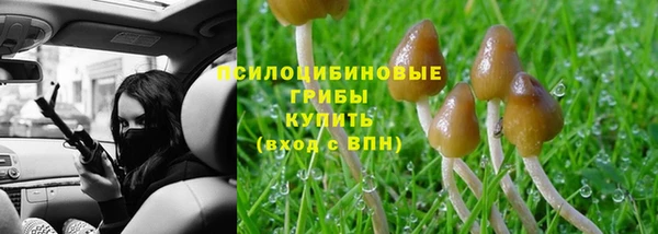 прущие грибы Куйбышев