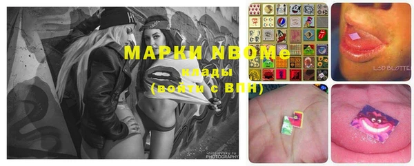 прущие грибы Куйбышев